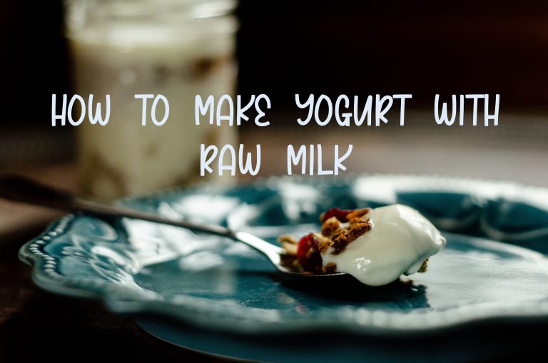 How to make yogurt with raw milk