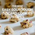 The Best Easy Sourdough Discard Cookies Recipes