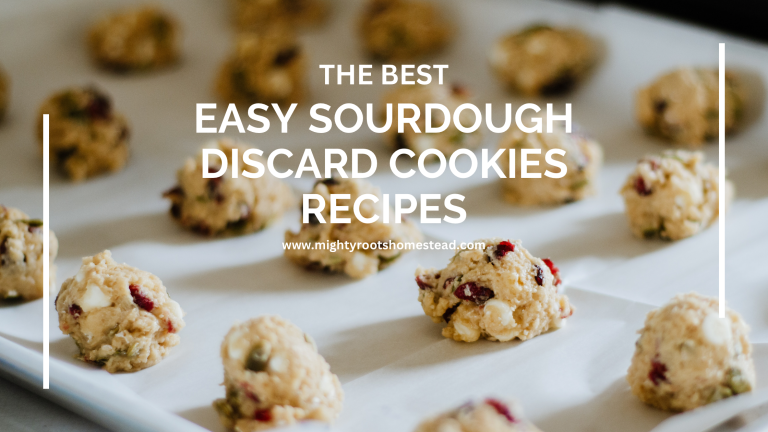 The Best Easy Sourdough Discard Cookies Recipes