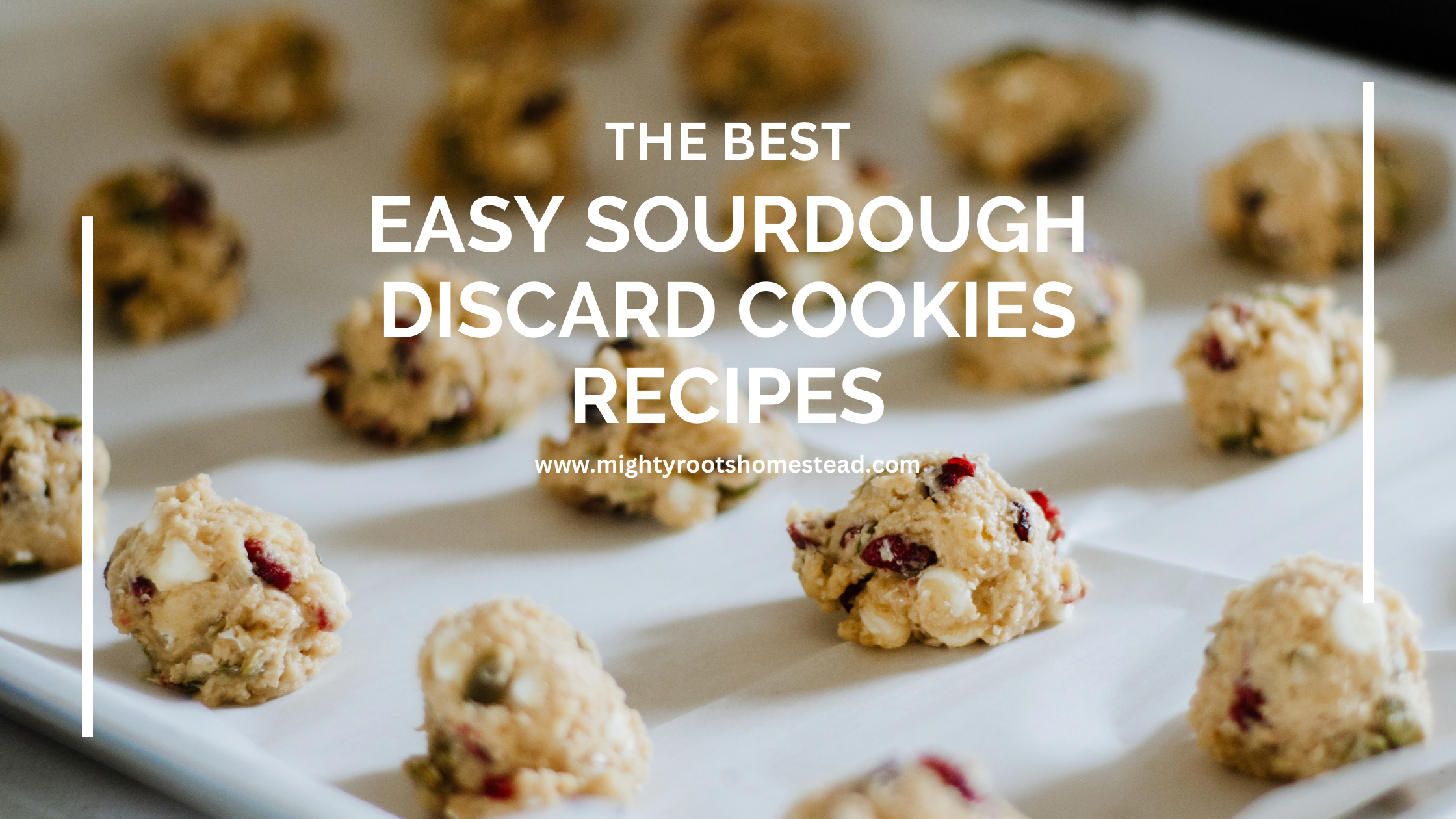 The Best Easy Sourdough Discard Cookies Recipes