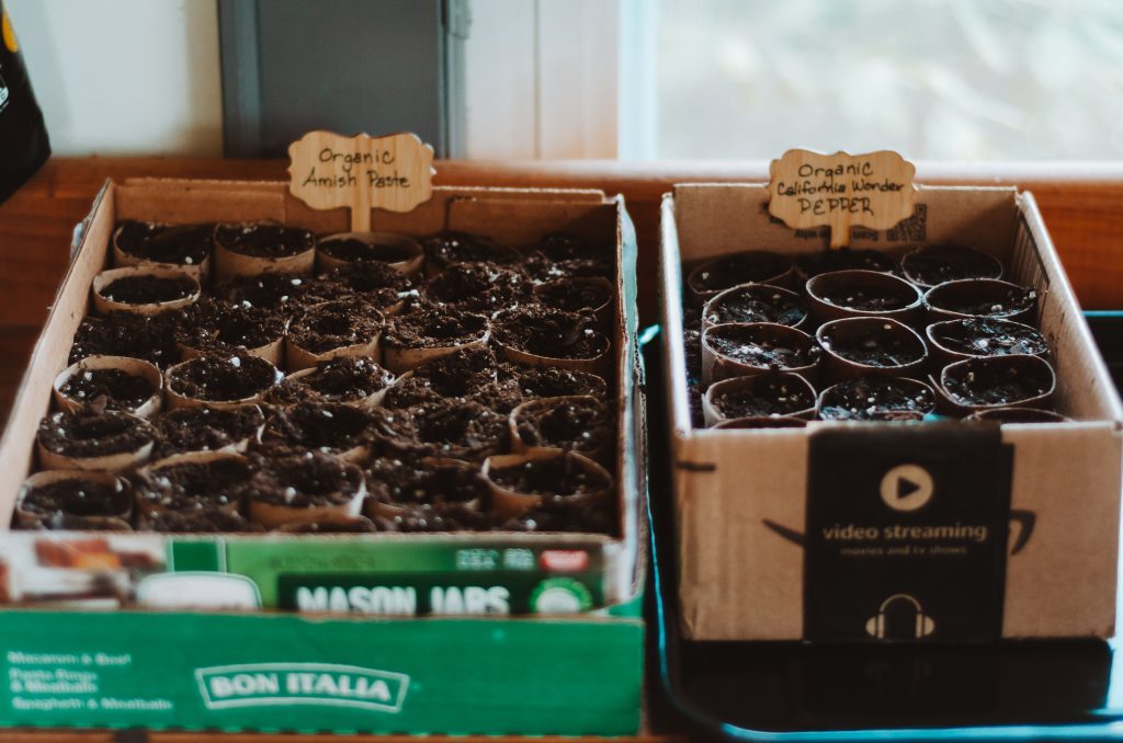 Using cardboard is one of my favorite garden hacks that work.  Cardboard is biodegradable and doesn't have to be removed prior to planting your seedlings.
