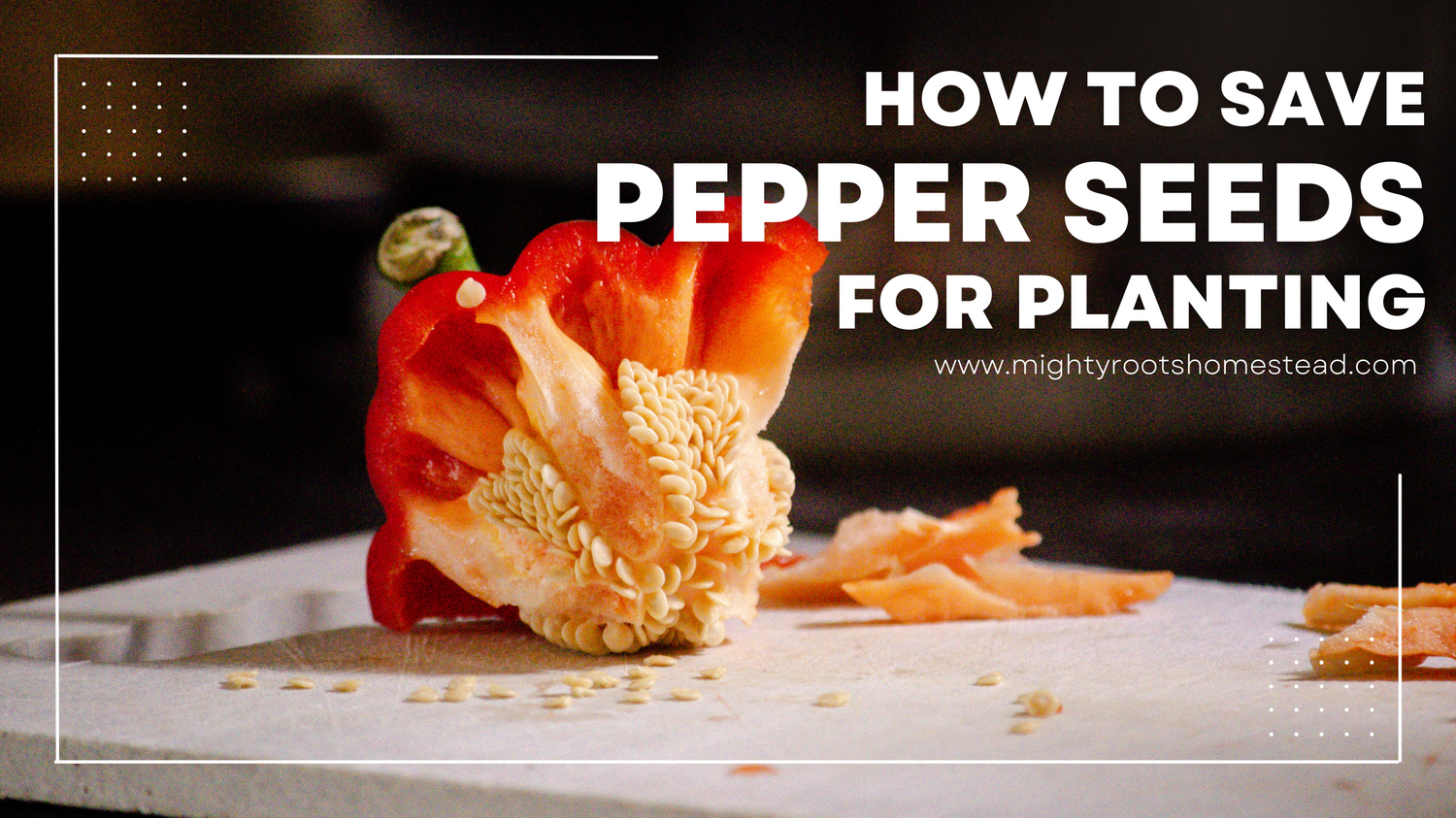 How to save pepper seeds for planting