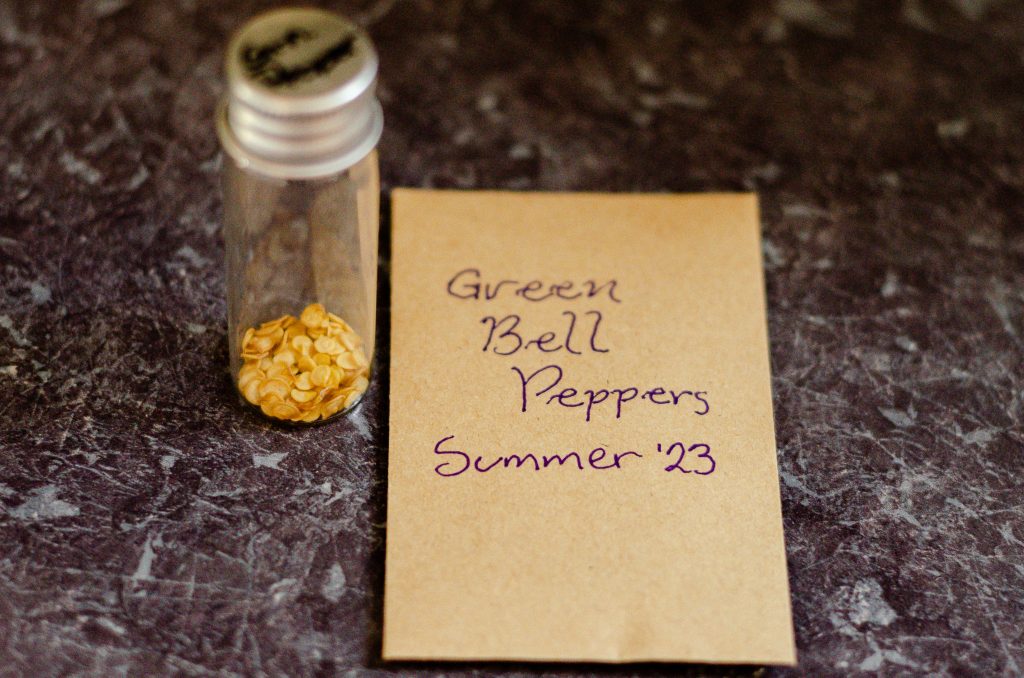 How to save pepper seeds for planting next year.