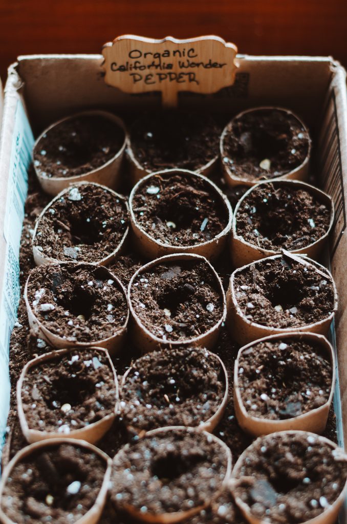 Recycling cardboard boxes and toilet paper rolls is a great garden hack that works.  