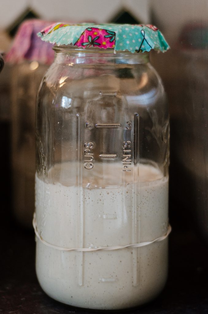 half gallon mason jar with sourdough discard