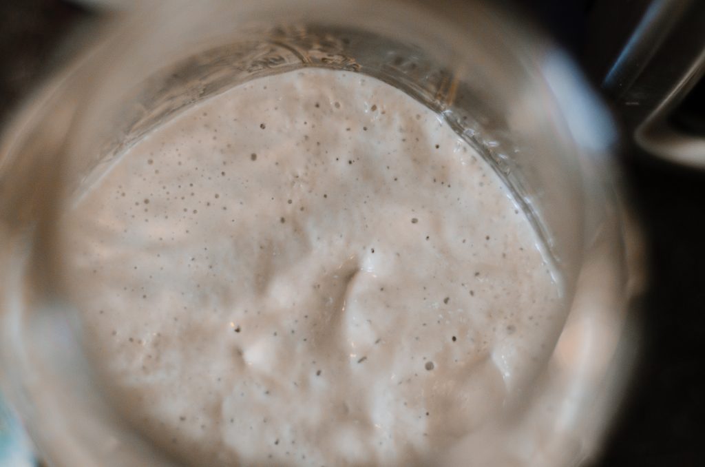 Sourdough Starter in a mason jar