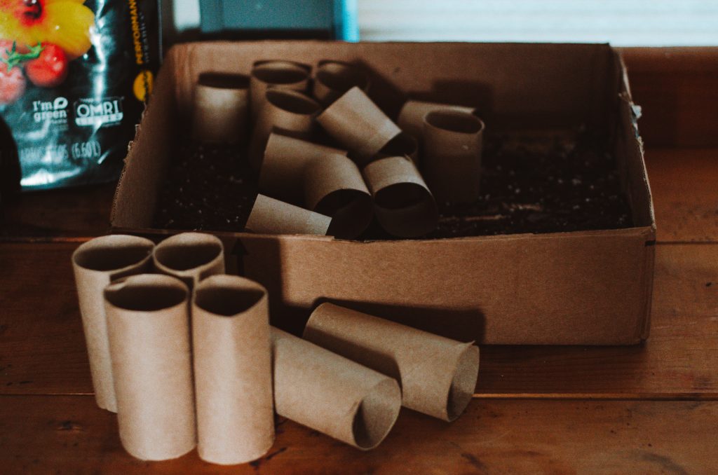 gardening hacks that work - using cardboard as an alternative to plastic seed trays