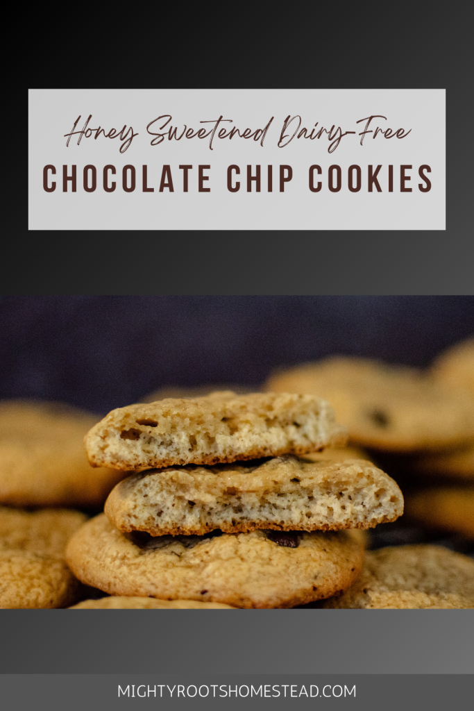 Honey Sweetened Dairy-Free Chocolate Chip Cookies Recipe