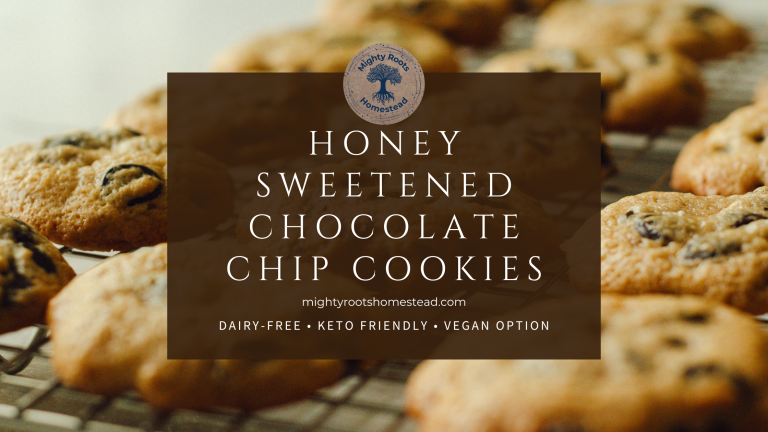 Honey Sweetened Dairy-Free Chocolate Chip Cookies Recipe